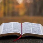 open bible on a stone