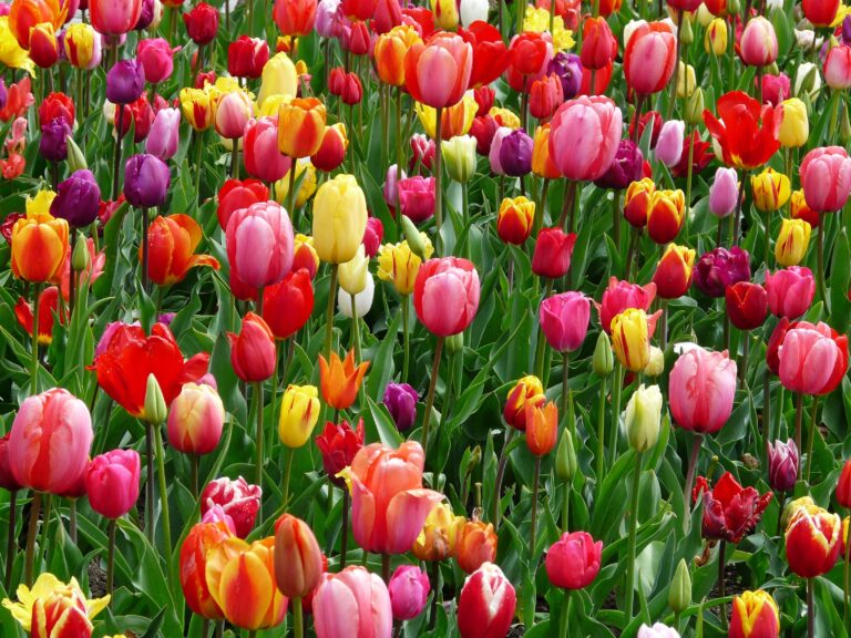 May Newsletter