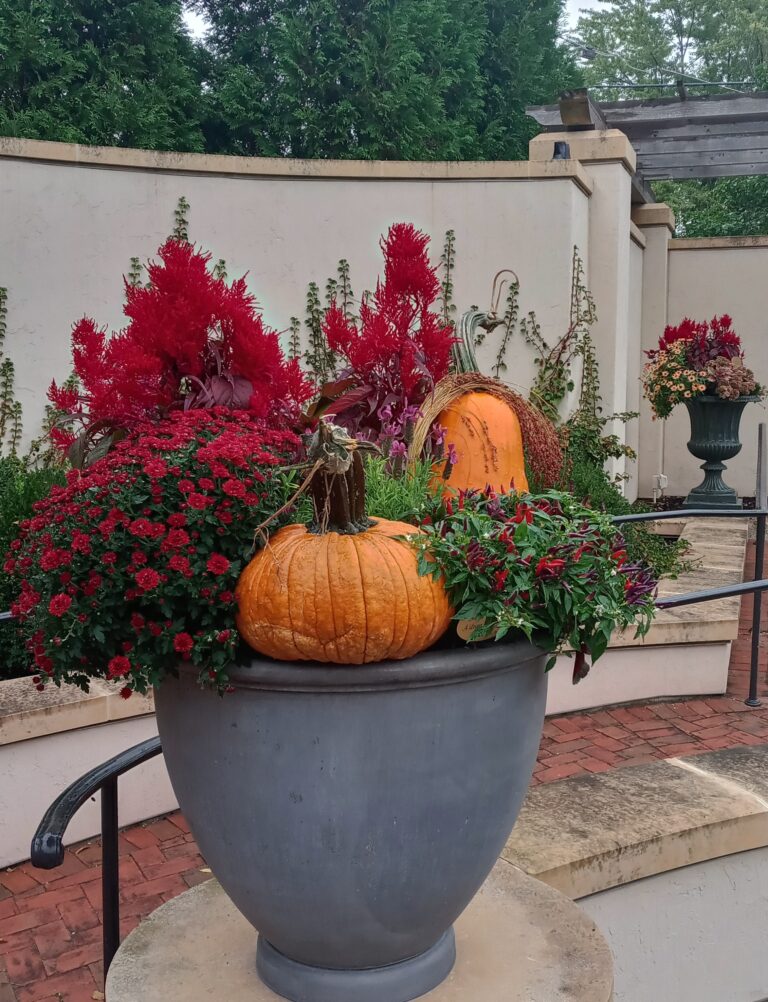 November Newsletter